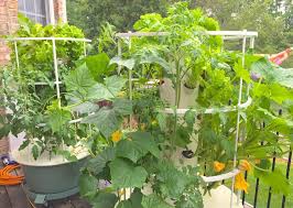 Gardening Made Simple