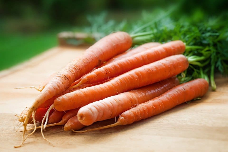 Growing Carrots Made Simple: My Gardening Wins and Lessons Learned