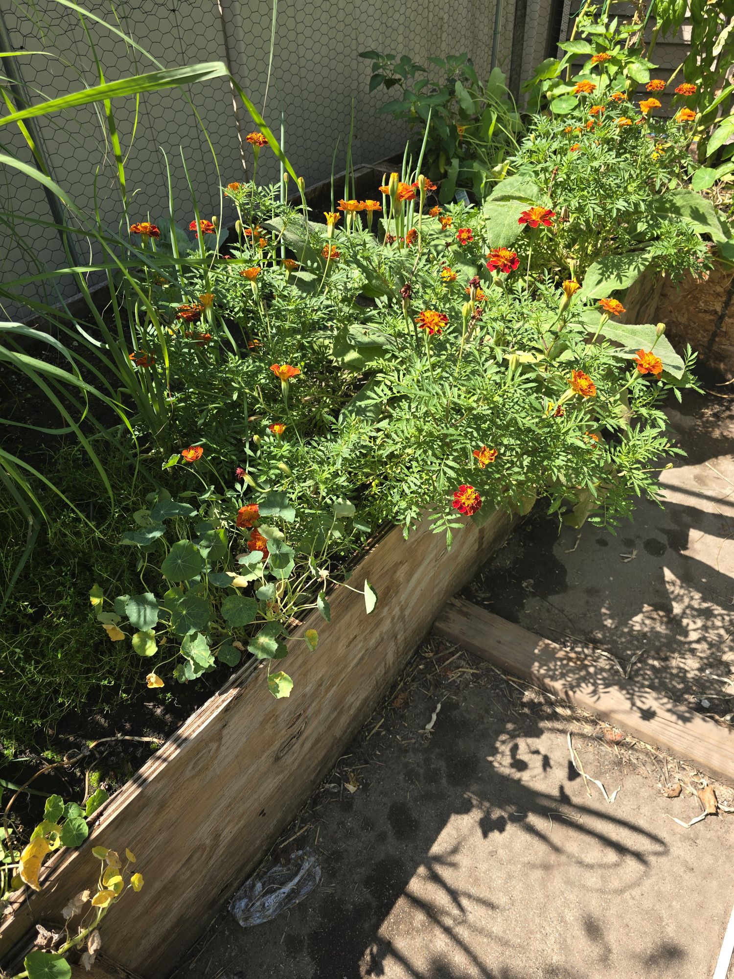 August Reflections: Growth, Lessons, and Little Joys